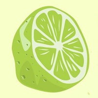 lime_text